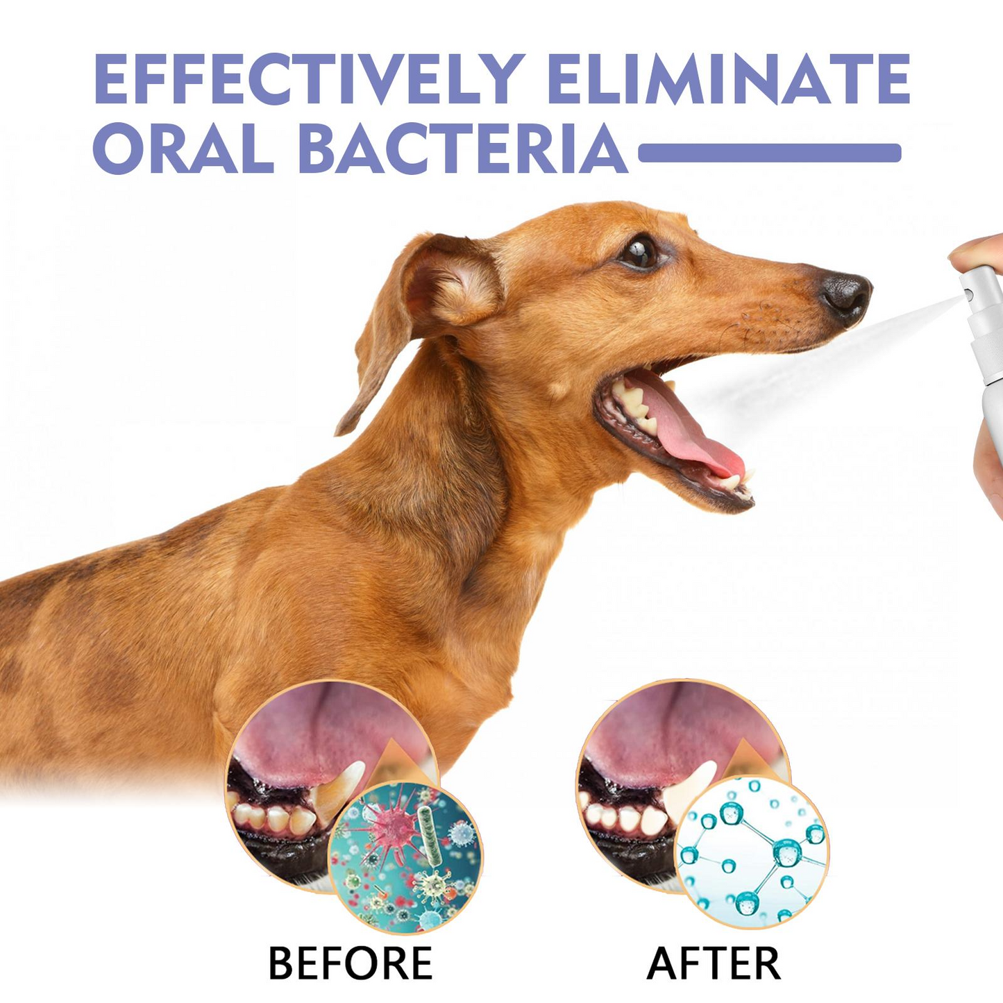 Pet Oral Spray for Dogs & Cats – Natural Breath Freshener & Plaque Remover | Fights Tartar, Gingivitis & Gum Disease