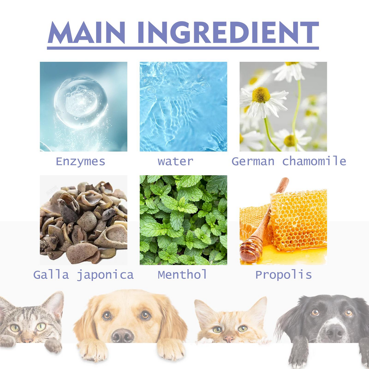 Pet Oral Spray for Dogs & Cats – Natural Breath Freshener & Plaque Remover | Fights Tartar, Gingivitis & Gum Disease